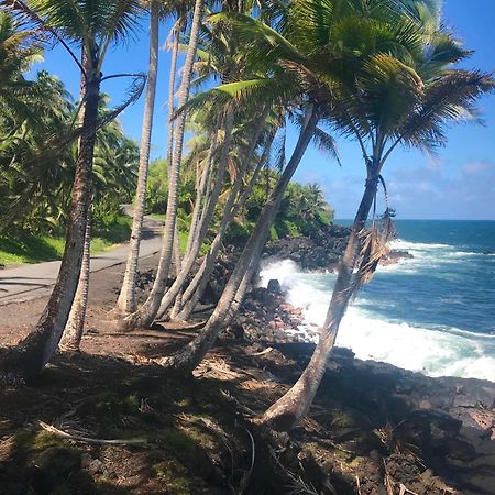 Tropical Zen Bungalow Pahoa Exterior photo